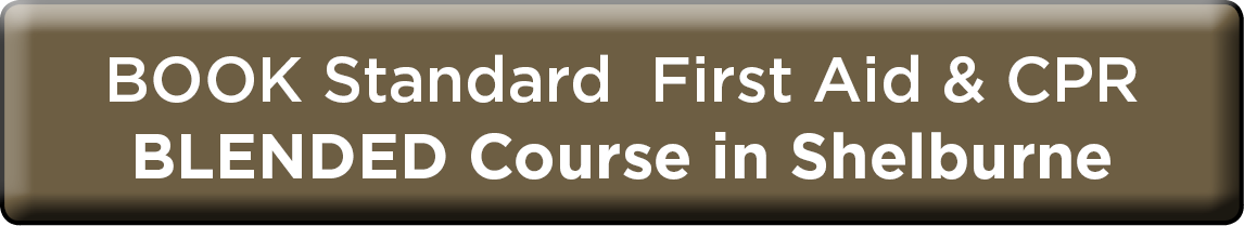 Book Blended Standard First Aid in Shelburne NOW